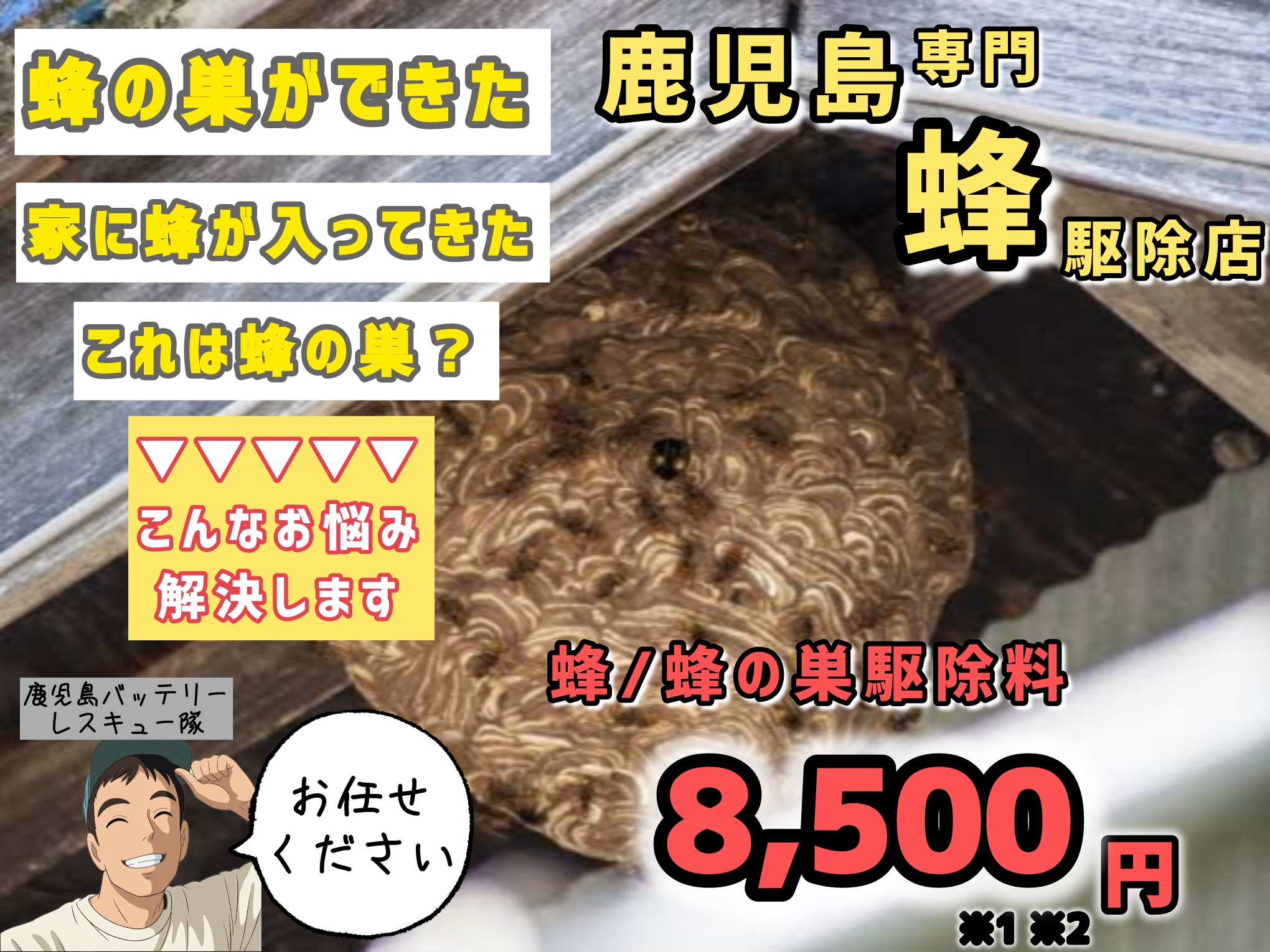 【蜂駆除料8,500円！】鹿児島専門のハチ駆除店