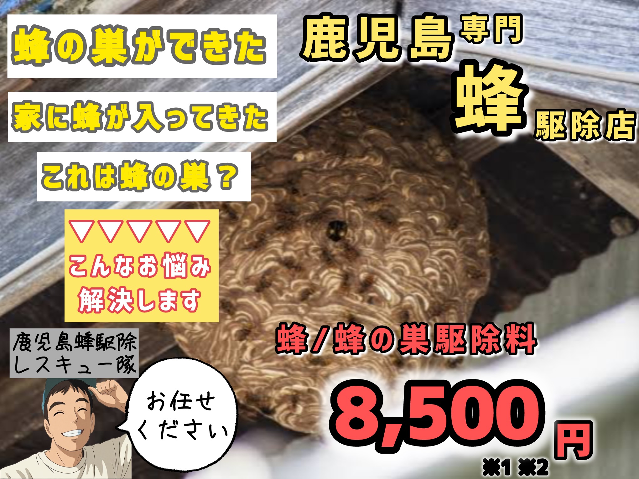 【蜂駆除料8,500円！】鹿児島専門のハチ駆除店