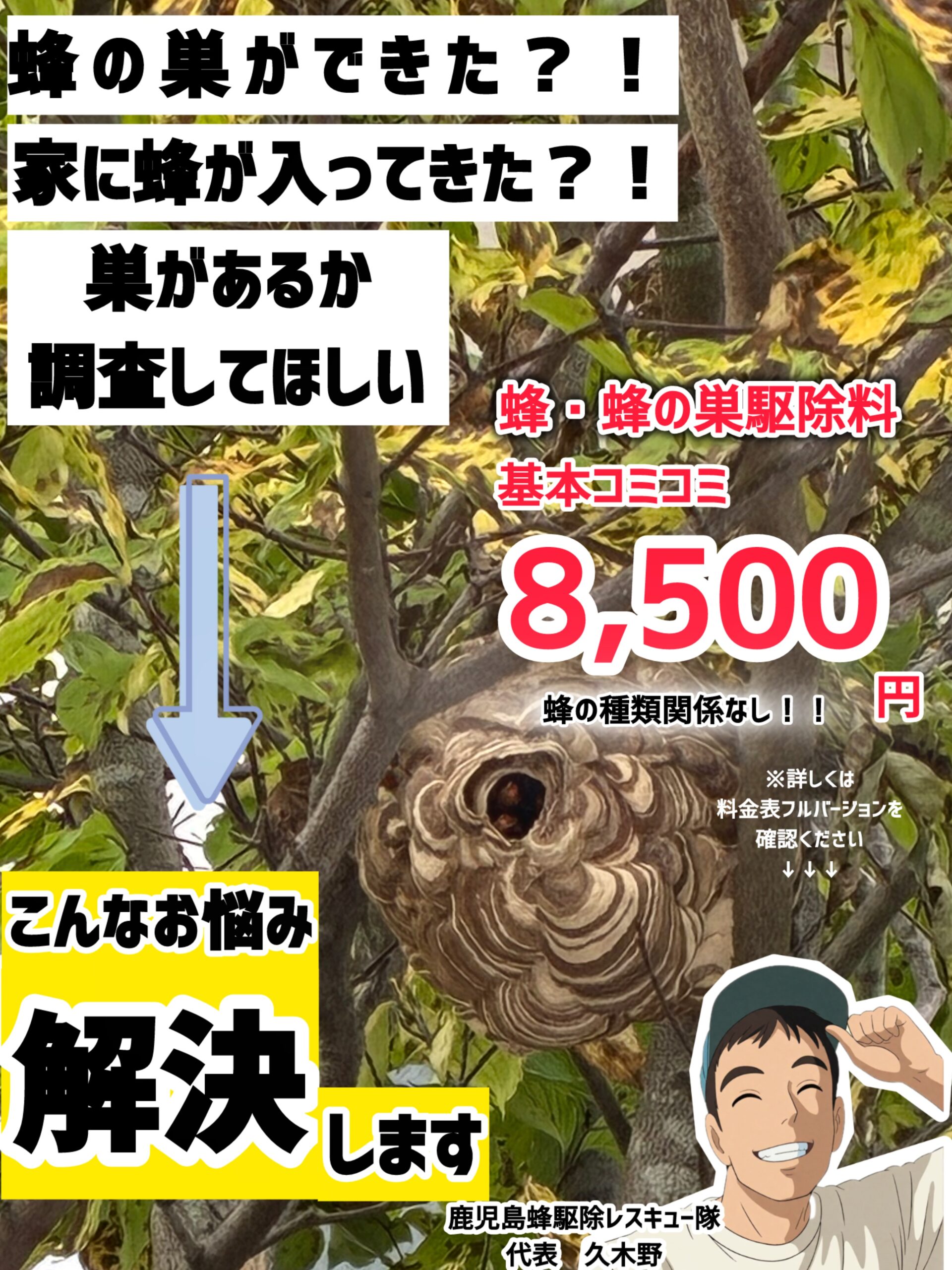 【蜂駆除基本はｺﾐｺﾐ8,500円！】鹿児島専門のハチ駆除店は